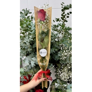 flores7