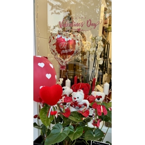 Ocasión especial "San Valentín 5"
