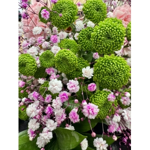 flores9